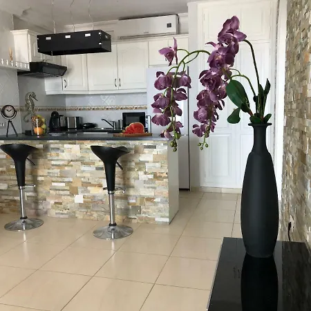 Lejlighed Tropicana *